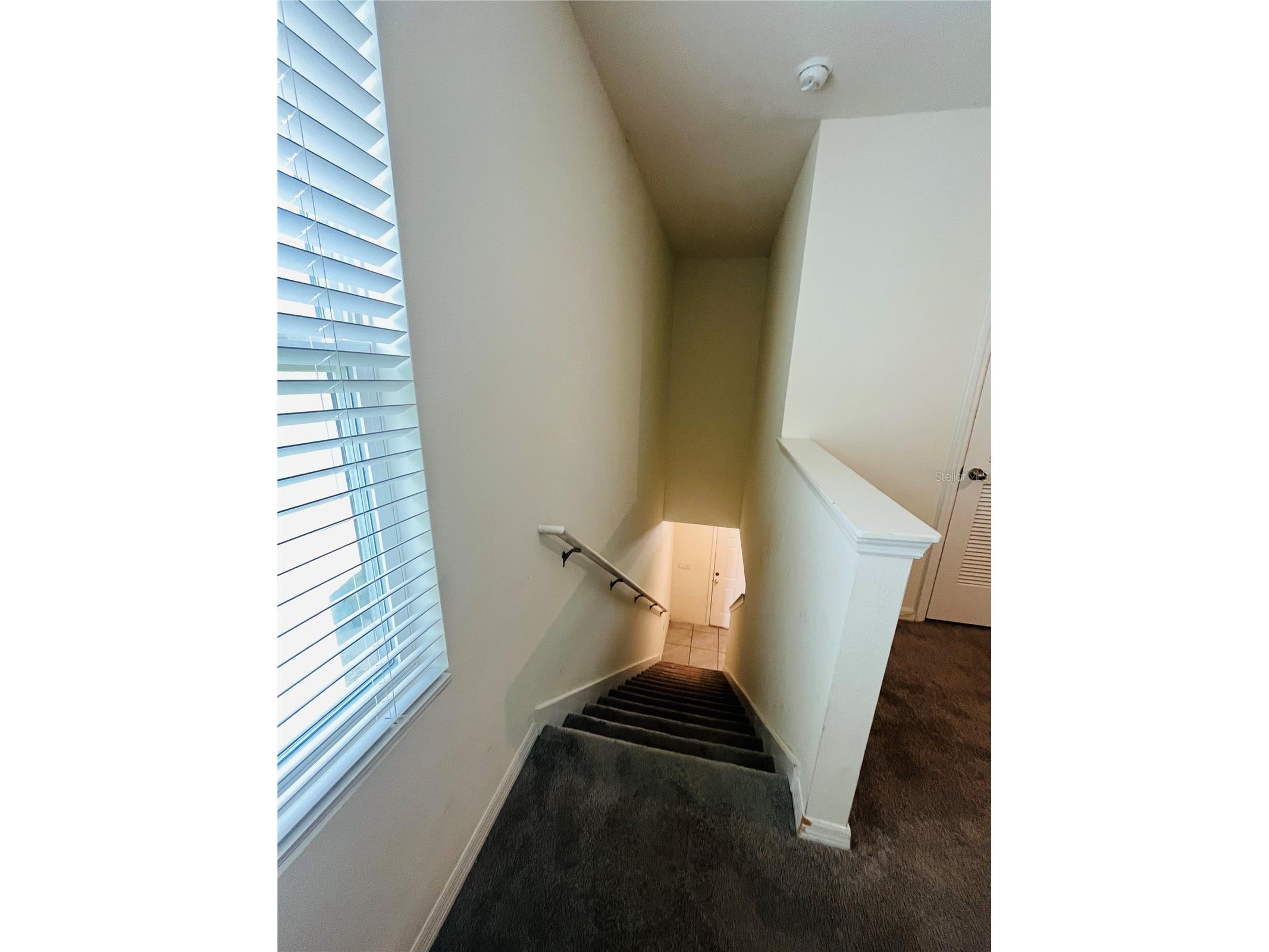 10624 Penny Gale Loop San Antonio FL 33576 TB8513815 image9