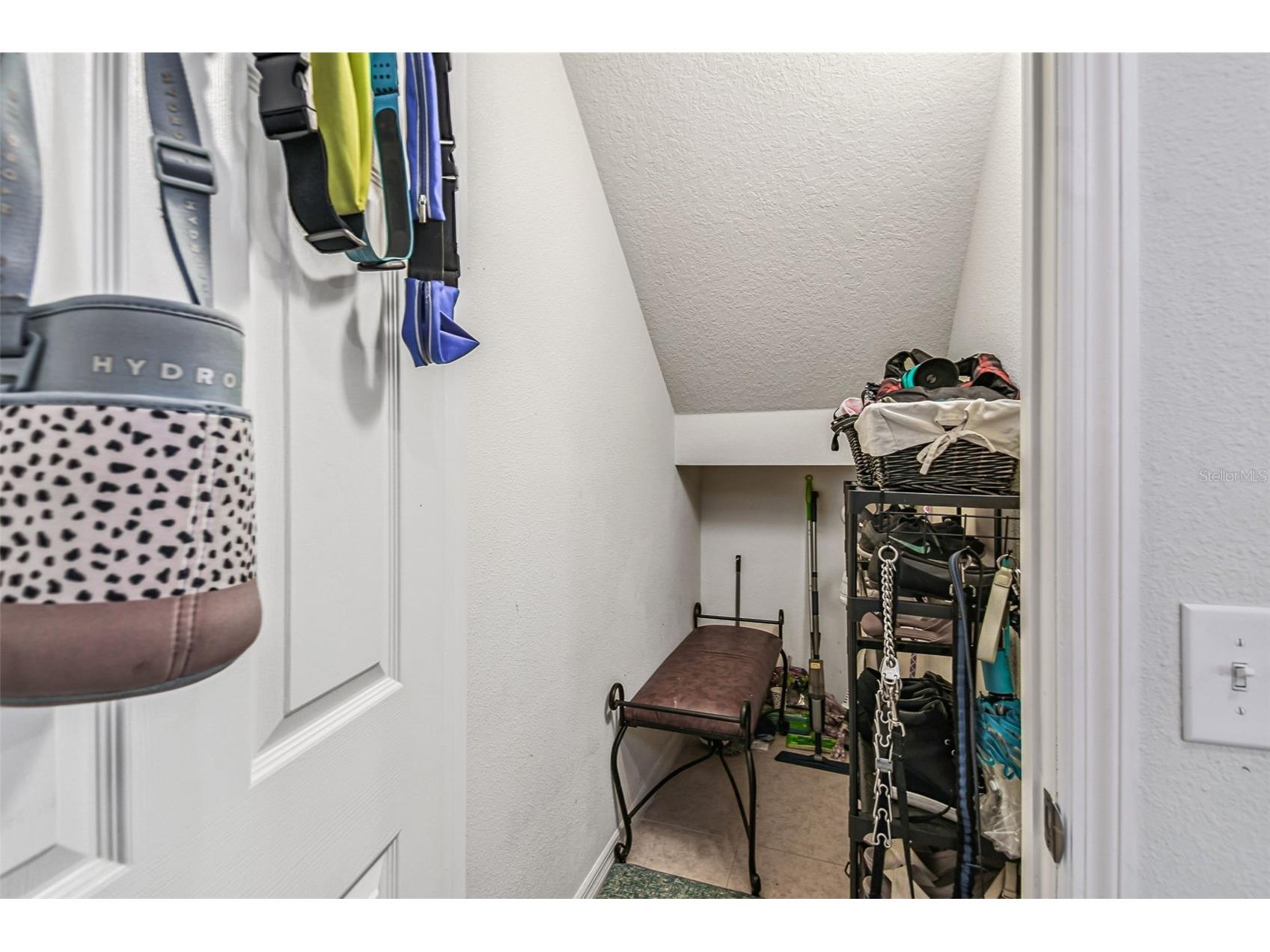 10624 Reams Road Windermere FL 34786 O6338130 image37