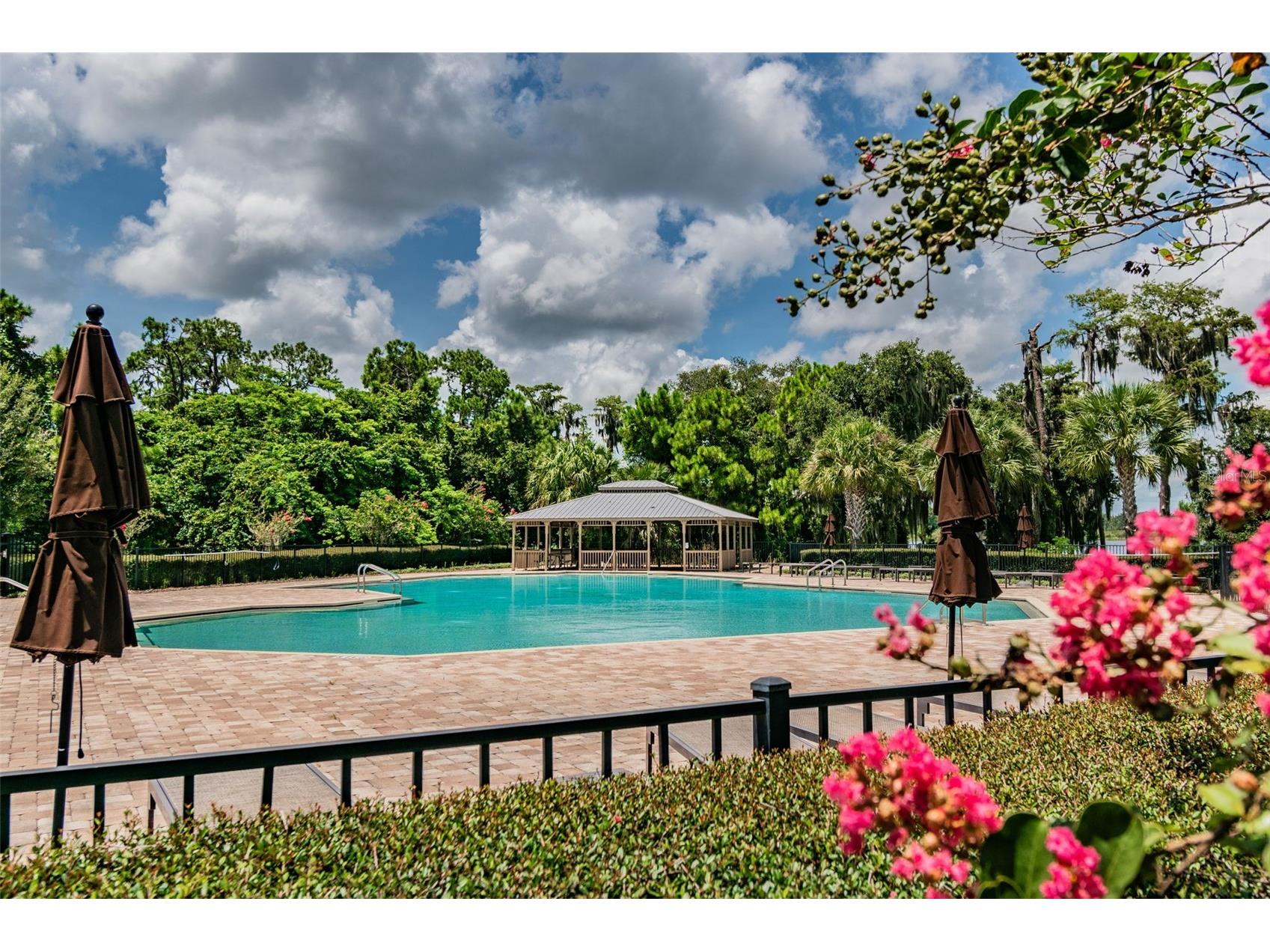 10624 Reams Road Windermere FL 34786 O6338130 image49