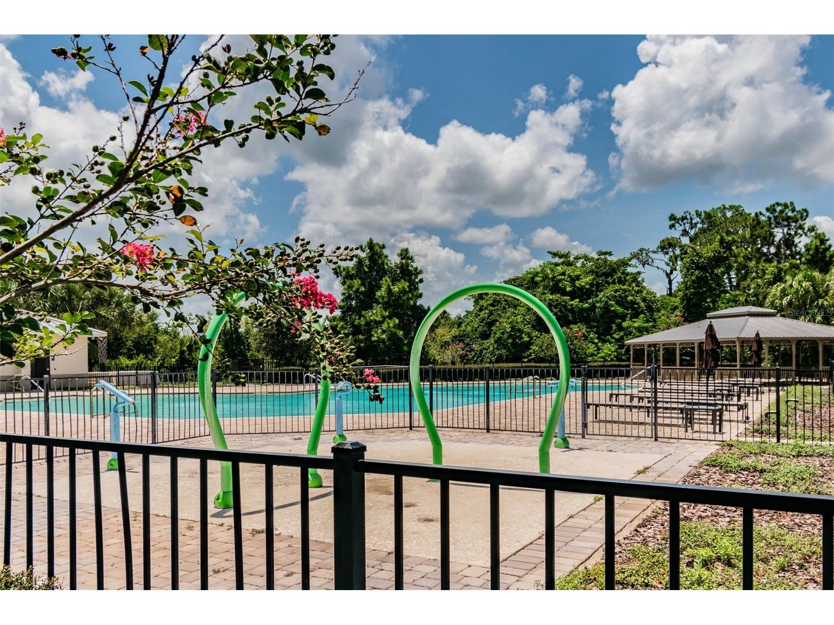 10624 Reams Road Windermere FL 34786 O6338130 image51