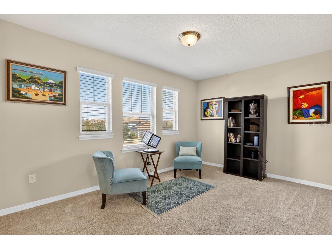 10625 Atwater Bay Drive Winter Garden FL 34787 O6357589 image16