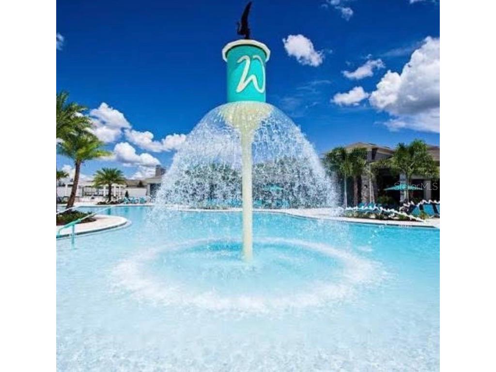 10625 Atwater Bay Drive Winter Garden FL 34787 O6357589 image28