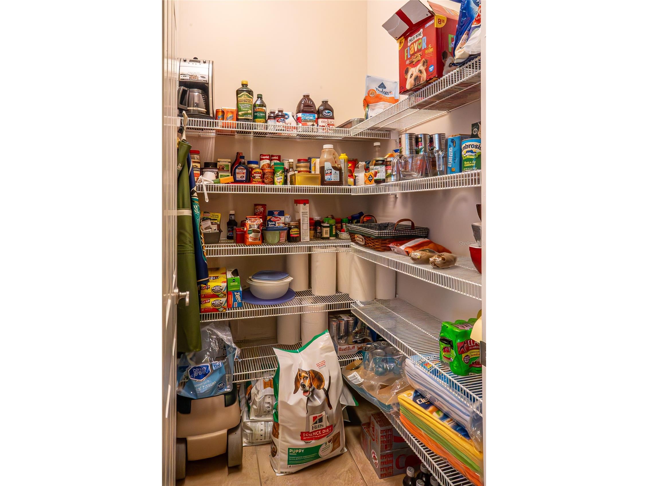 10625 Bronson Road Clermont FL 34711 G5108144 image38
