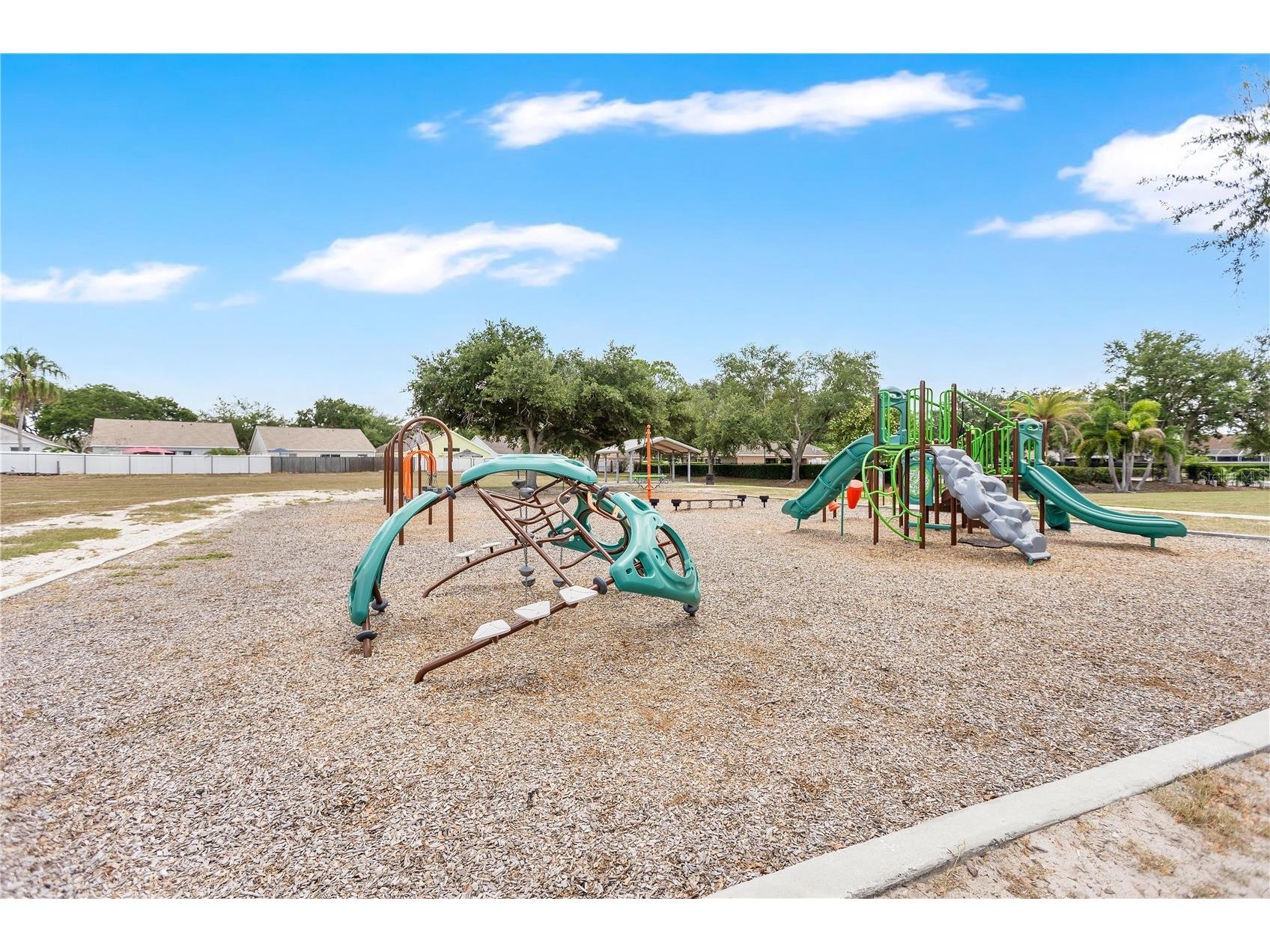 10625 Cami Court Riverview FL 33578 O6424011 image30