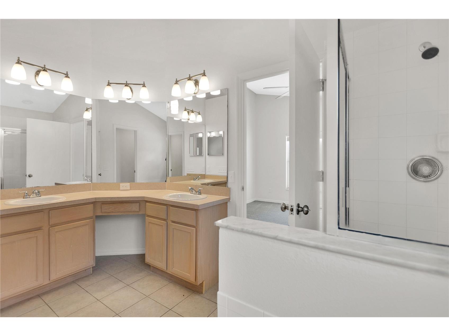 10625 Cami Court Riverview FL 33578 O6424011 image9