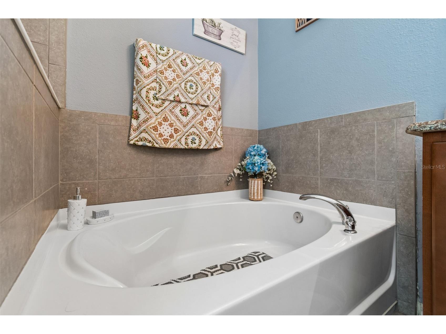 10626 Laguna Plains Drive Riverview FL 33578 TB8513188 image29