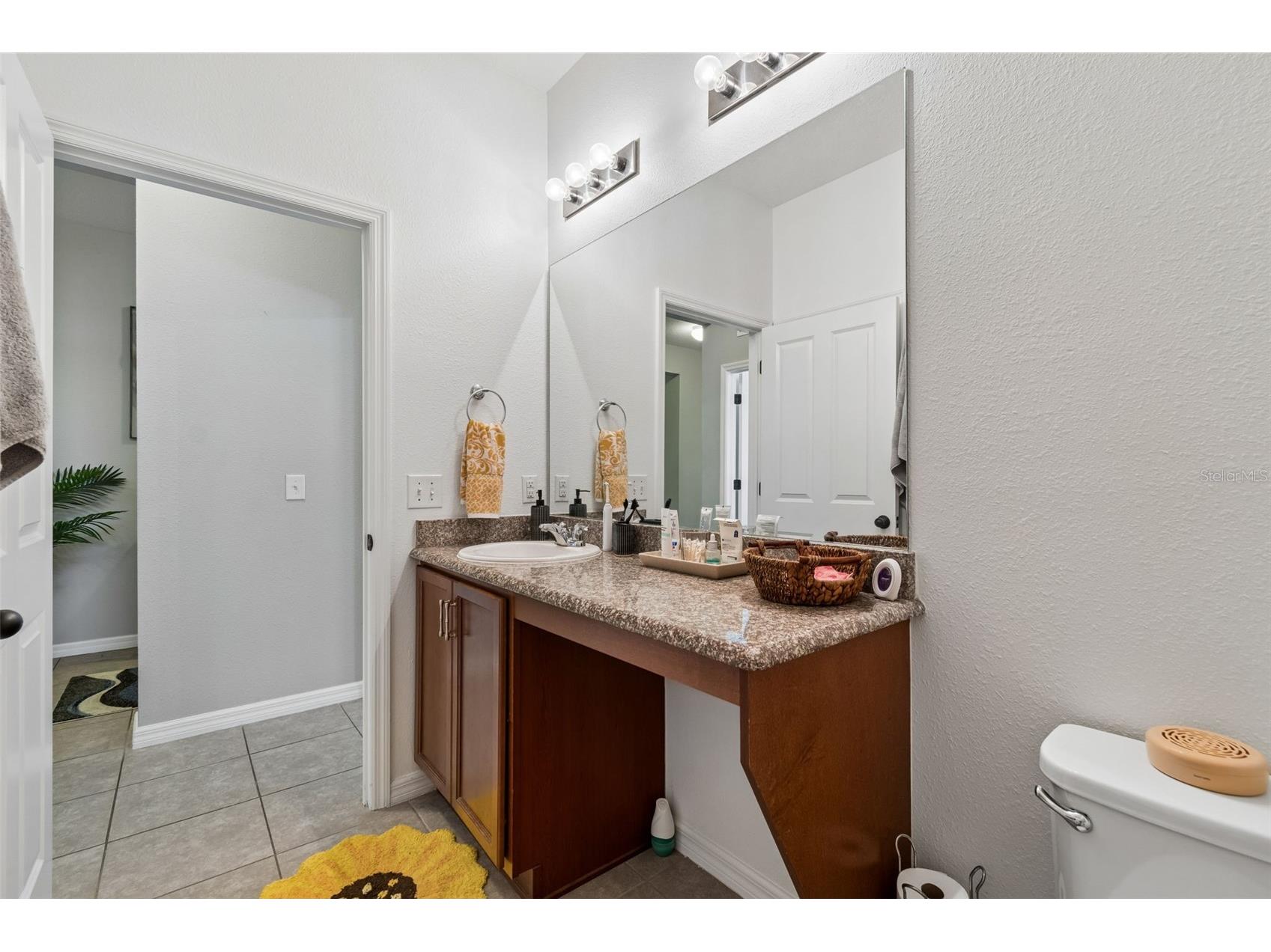 10626 Laguna Plains Drive Riverview FL 33578 TB8513188 image33