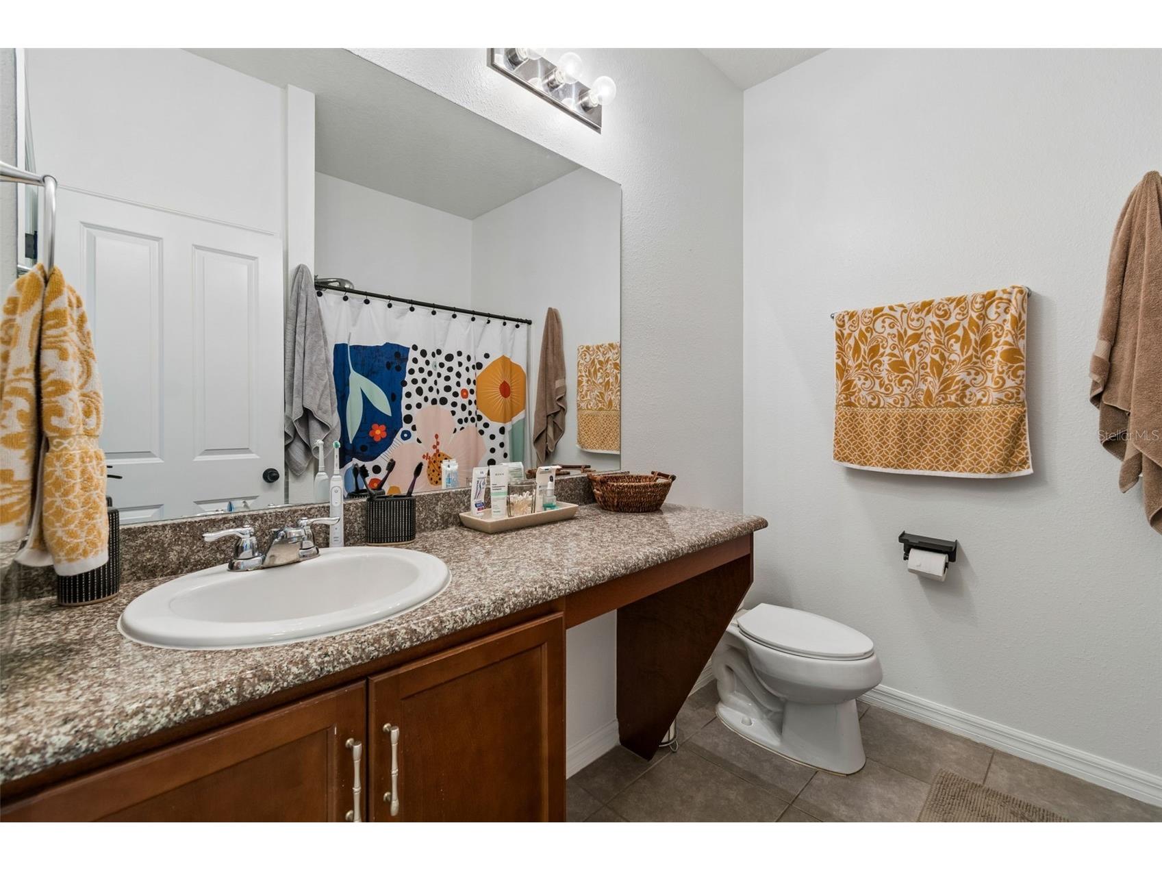 10626 Laguna Plains Drive Riverview FL 33578 TB8513188 image34