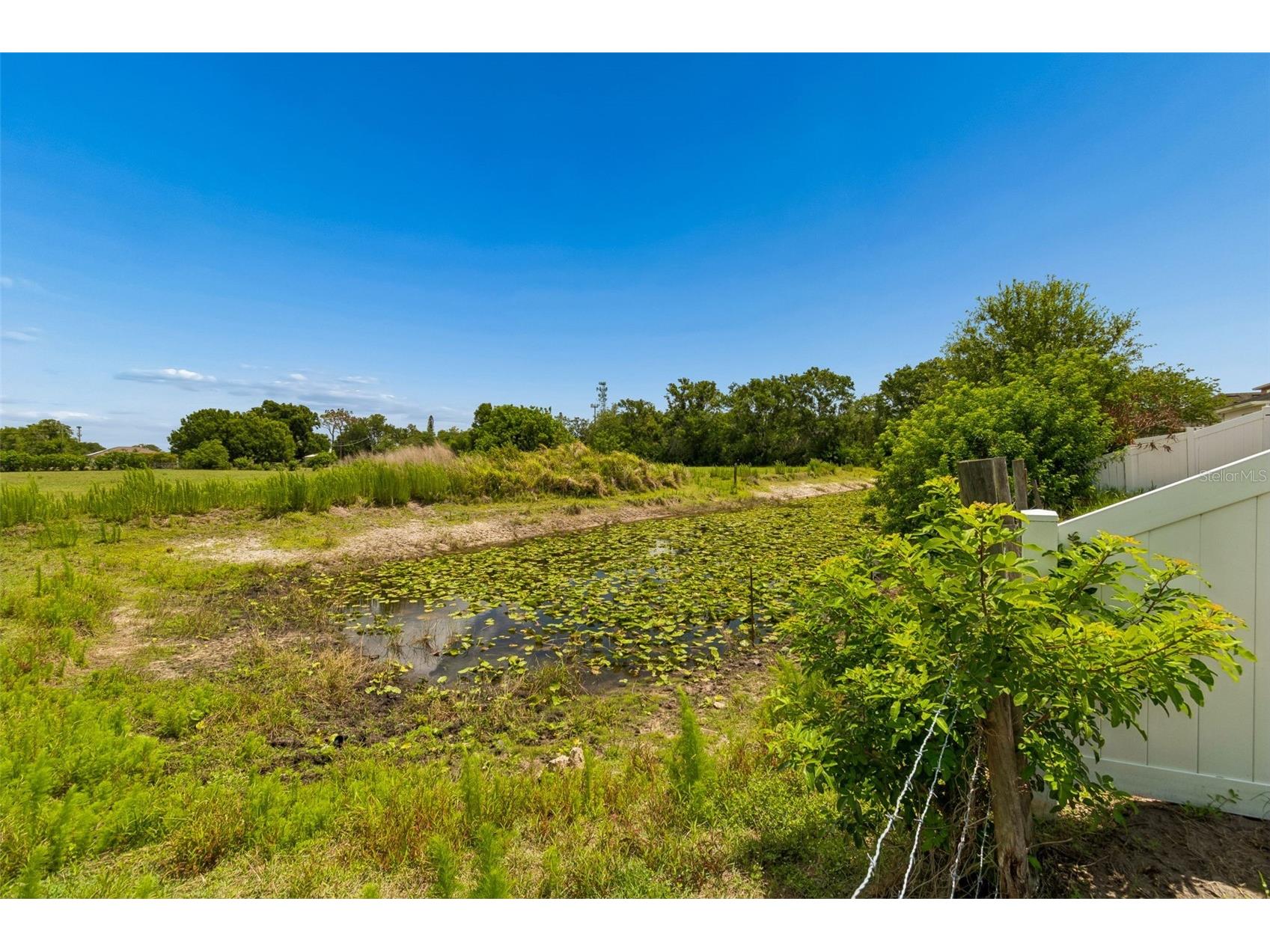 10626 Laguna Plains Drive Riverview FL 33578 TB8513188 image42