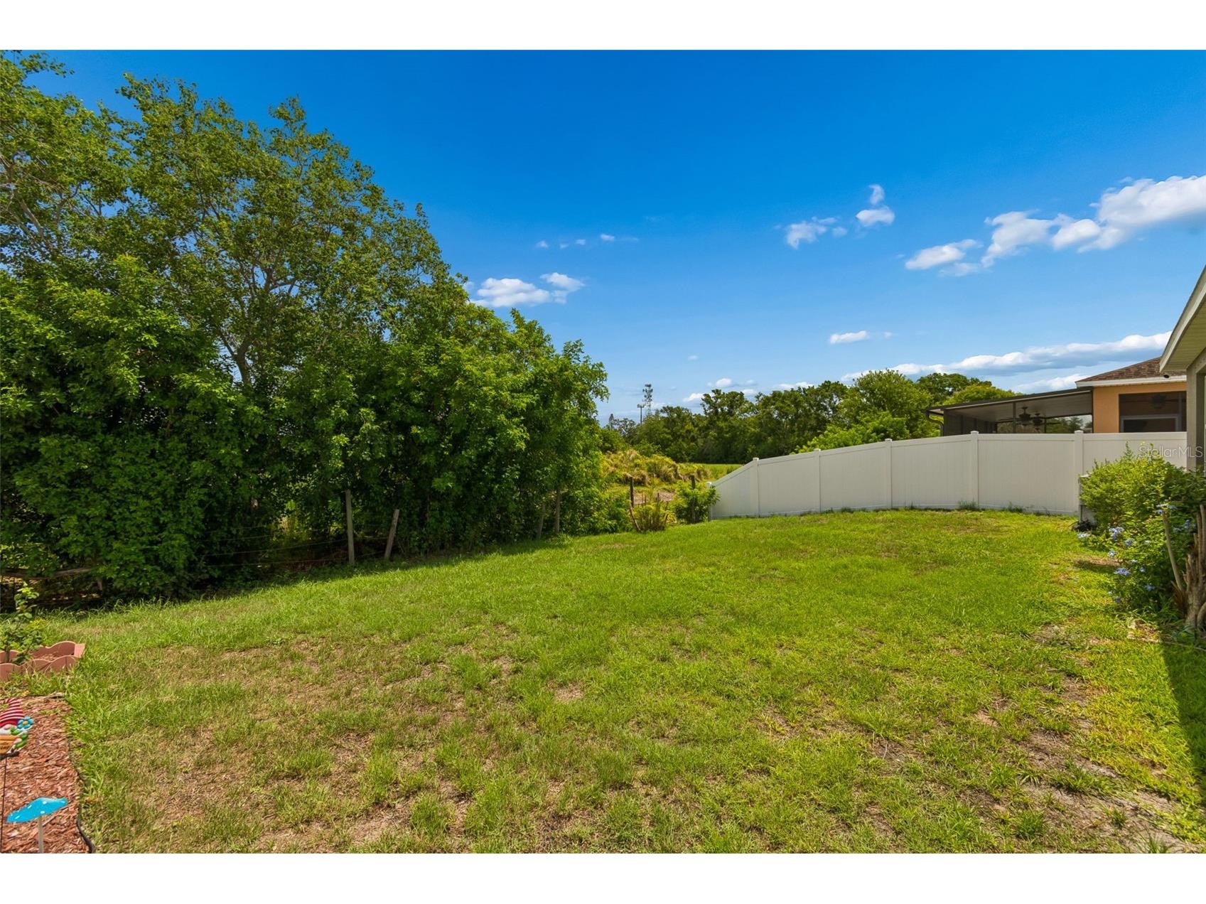 10626 Laguna Plains Drive Riverview FL 33578 TB8513188 image43