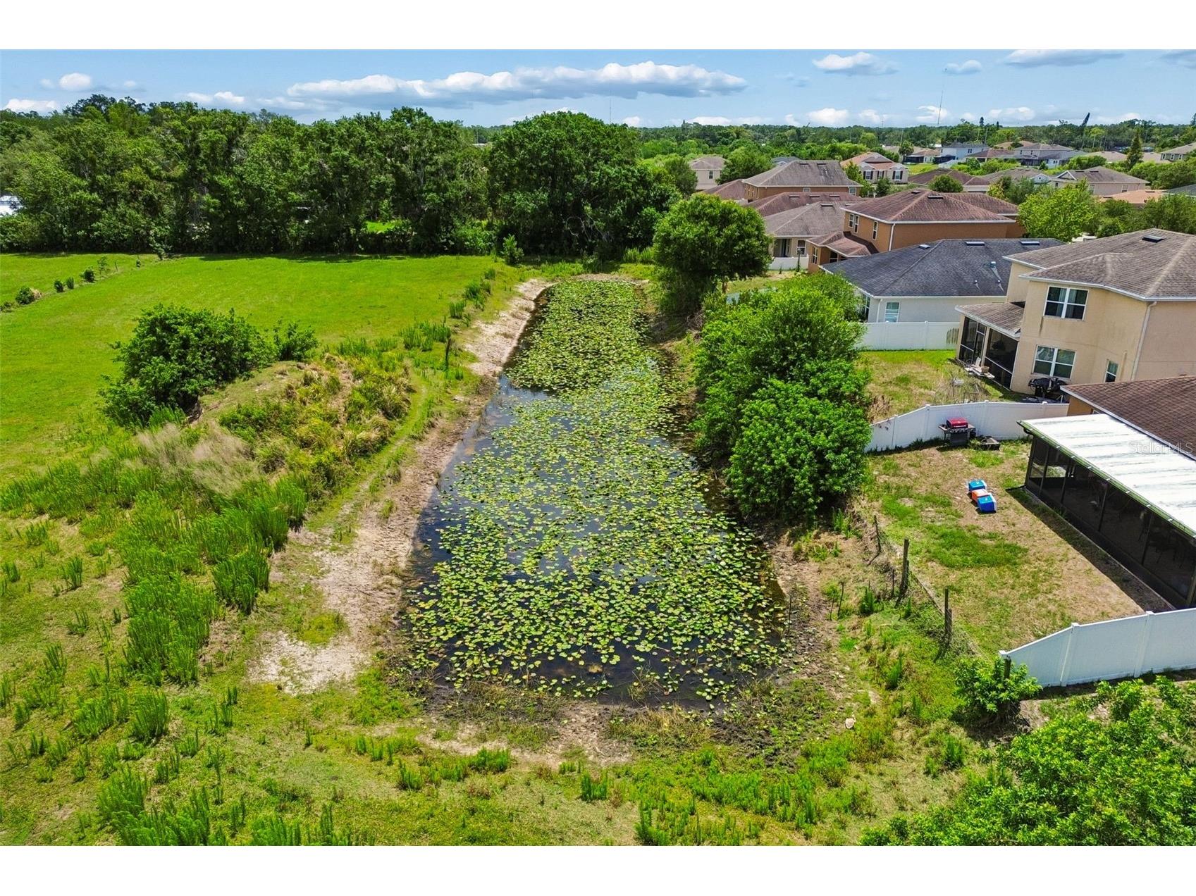 10626 Laguna Plains Drive Riverview FL 33578 TB8513188 image50