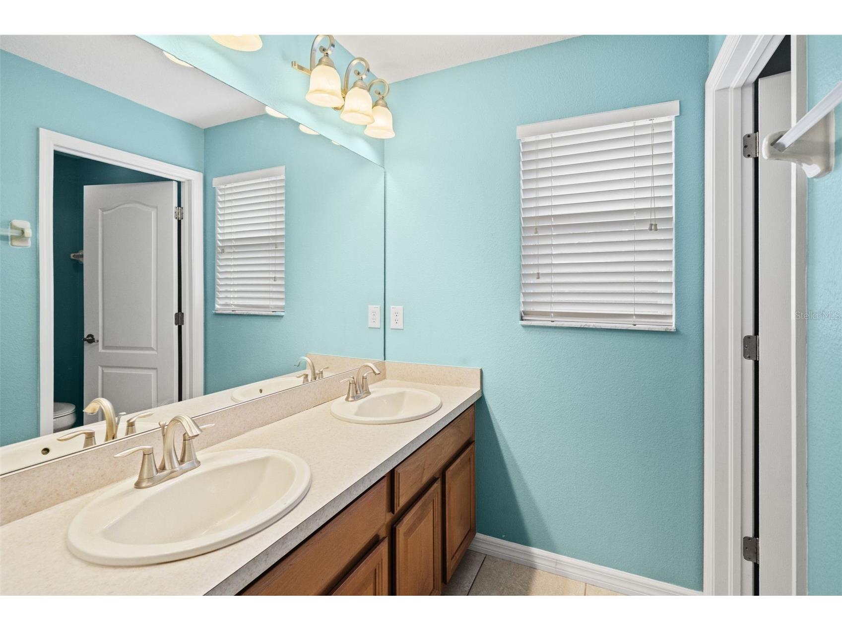 10626 Liberty Bell Drive Tampa FL 33647 W7883014 image28
