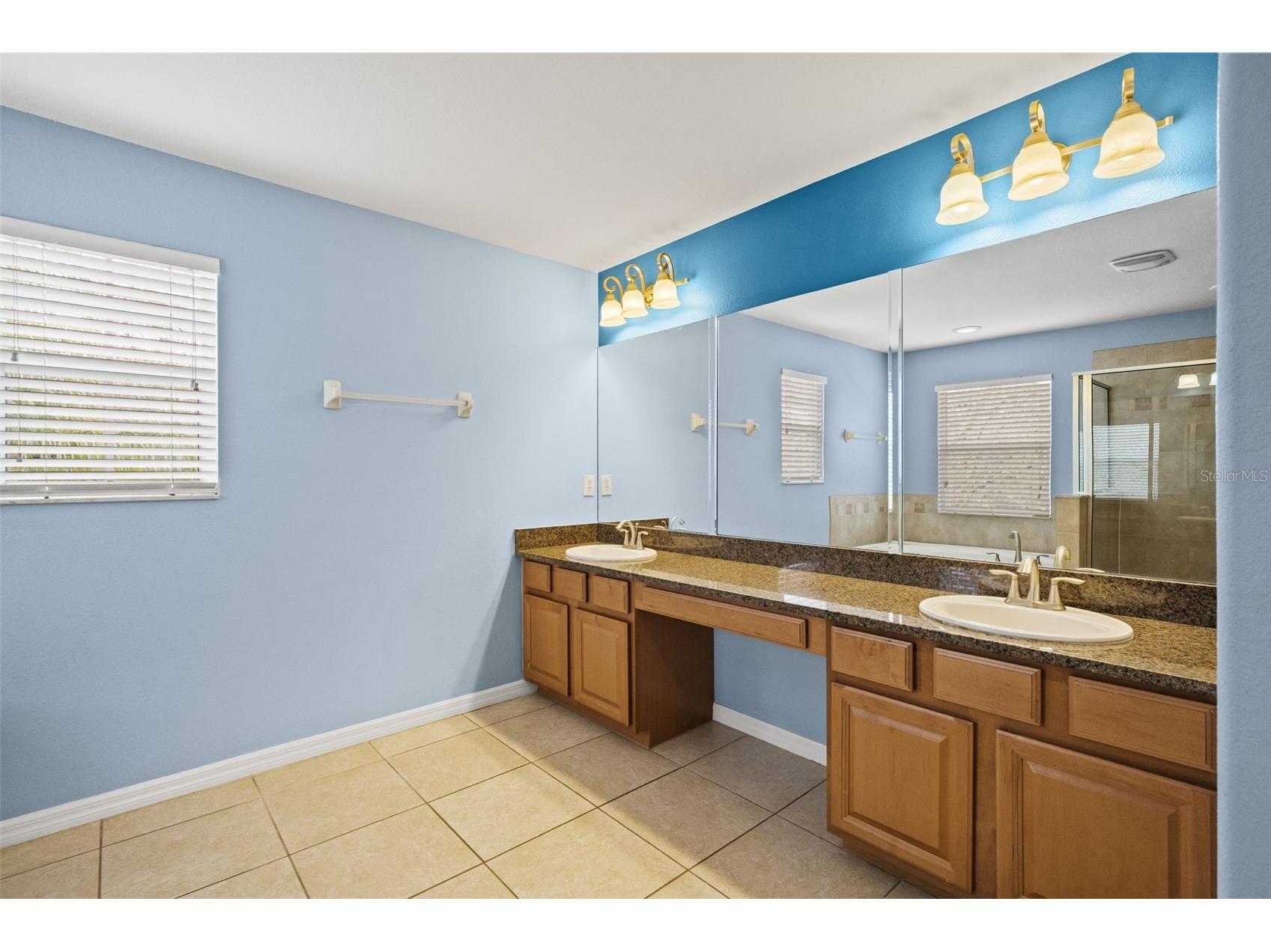 10626 Liberty Bell Drive Tampa FL 33647 W7883014 image34