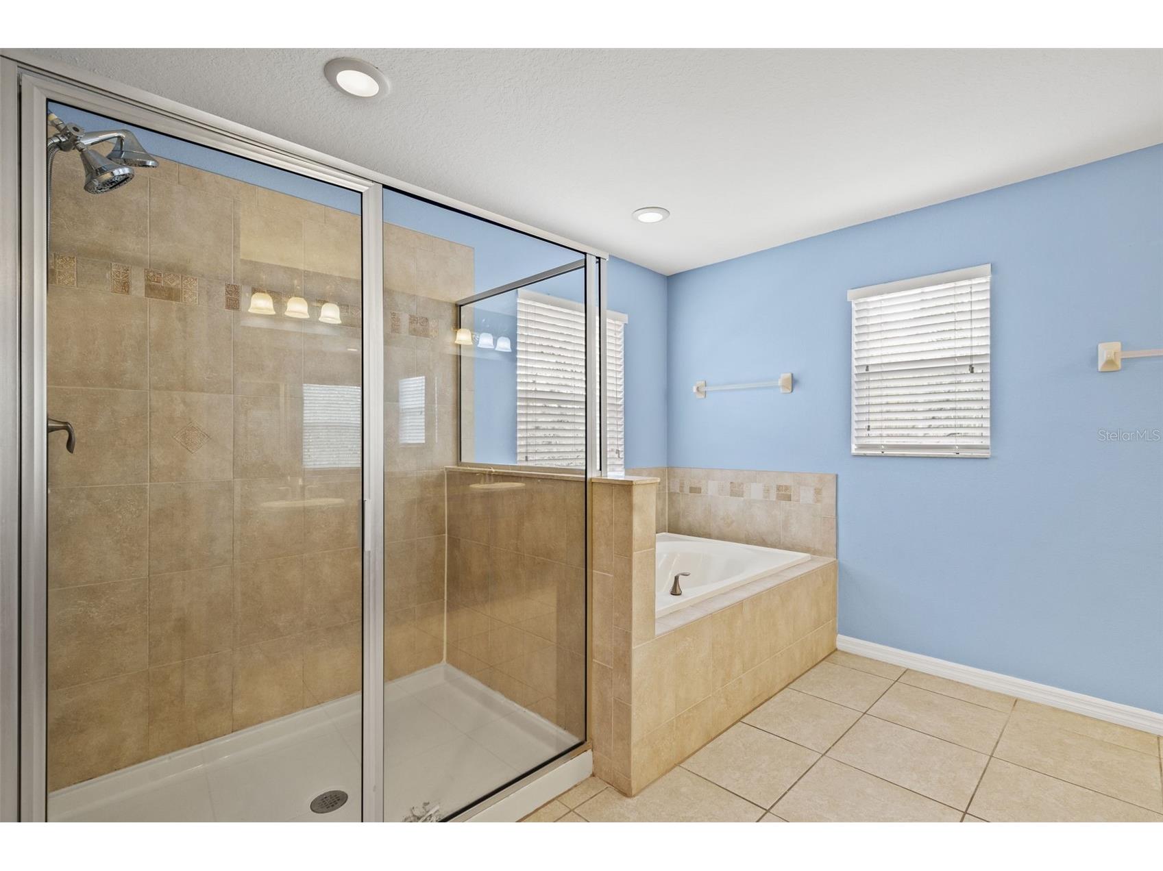 10626 Liberty Bell Drive Tampa FL 33647 W7883014 image35