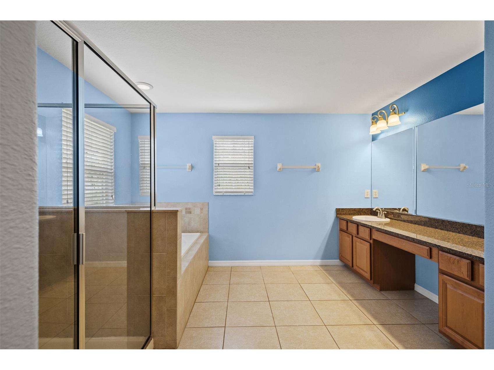 10626 Liberty Bell Drive Tampa FL 33647 W7883014 image37