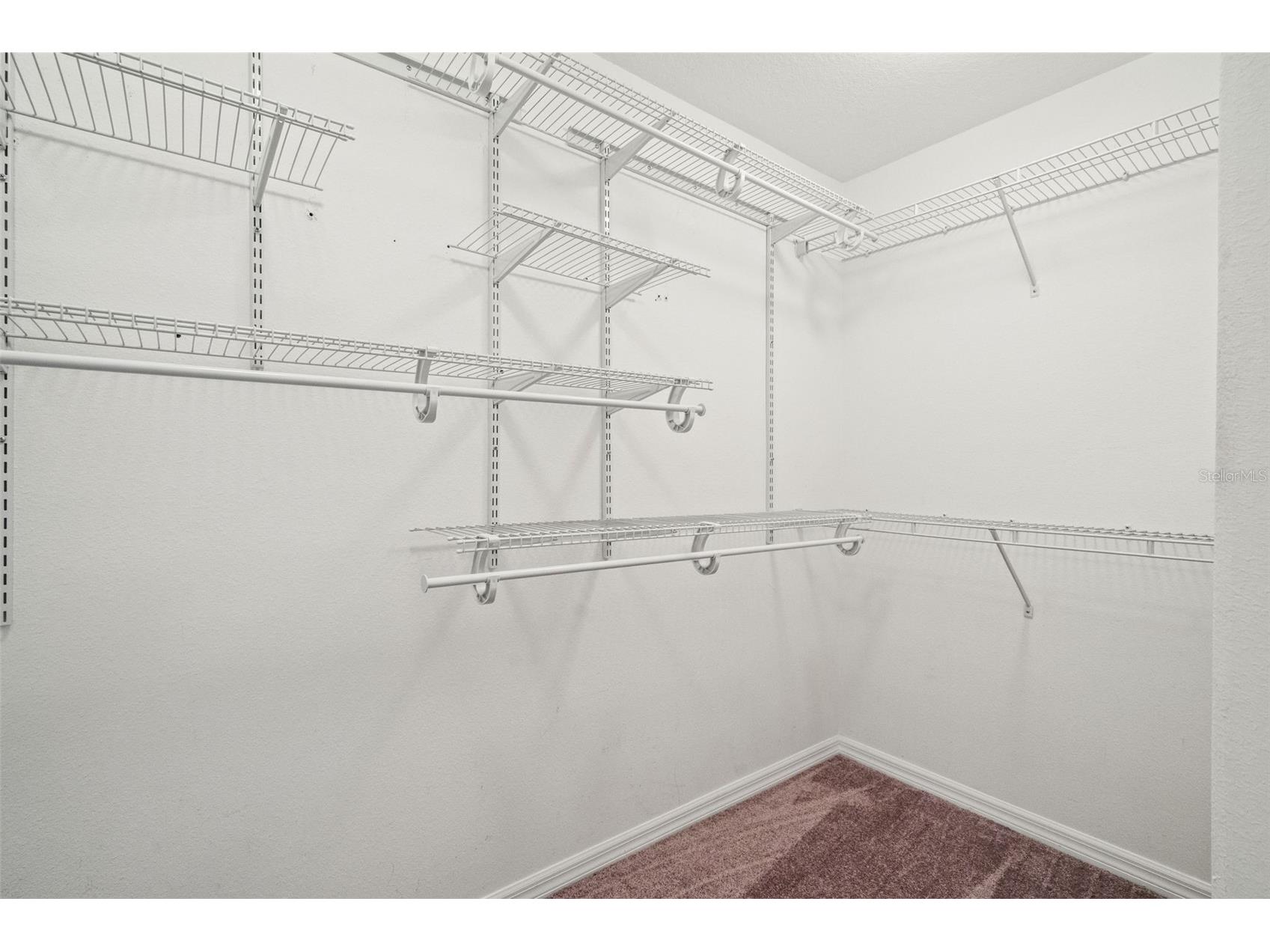 10626 Liberty Bell Drive Tampa FL 33647 W7883014 image38