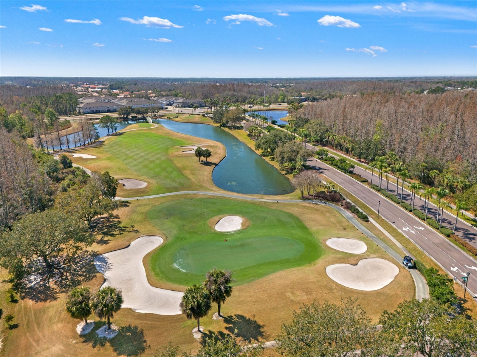 10626 Liberty Bell Drive Tampa FL 33647 W7883014 image5