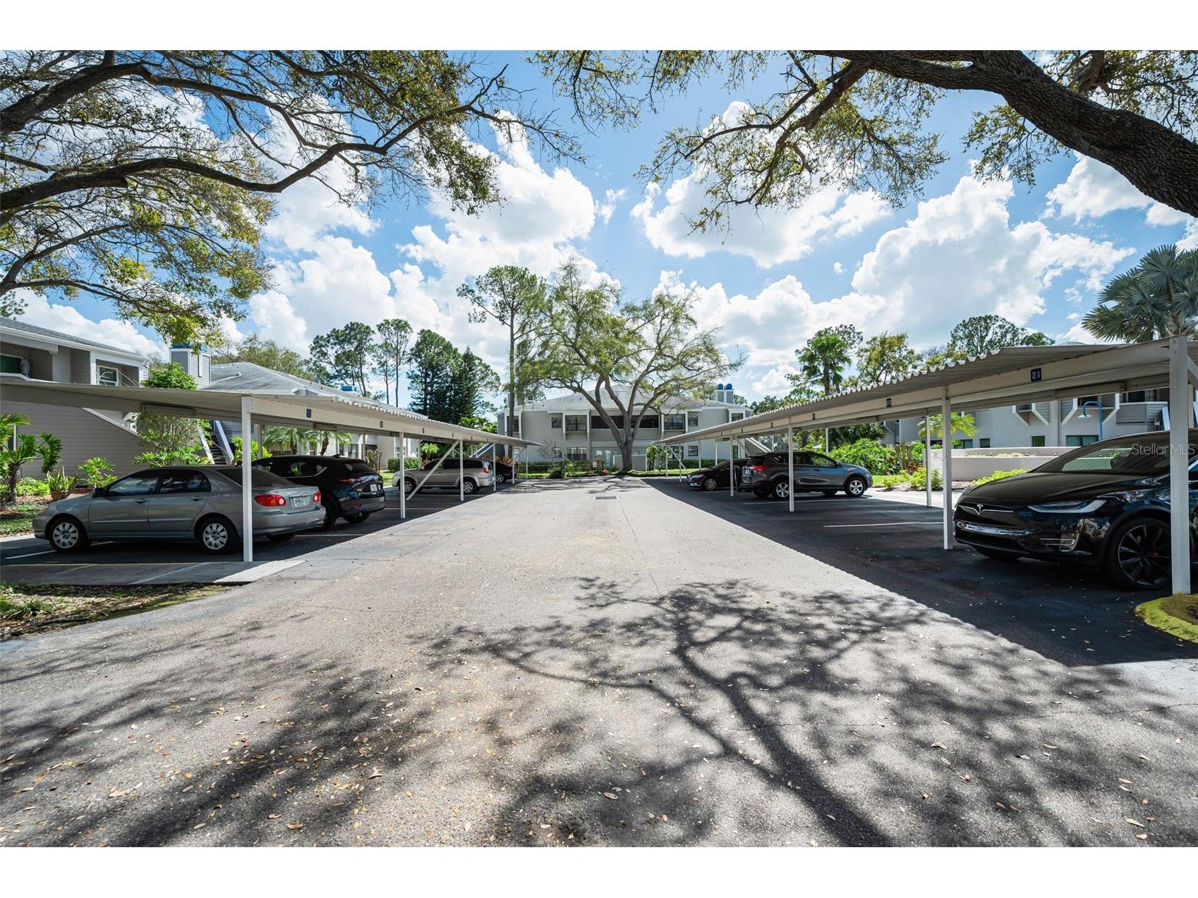 10626 Longwood Drive #102 Seminole FL 33777 TB8484356 image24