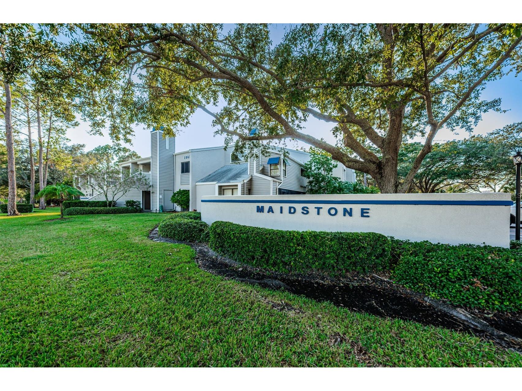 10626 Longwood Drive #102 Seminole FL 33777 TB8484356 image30