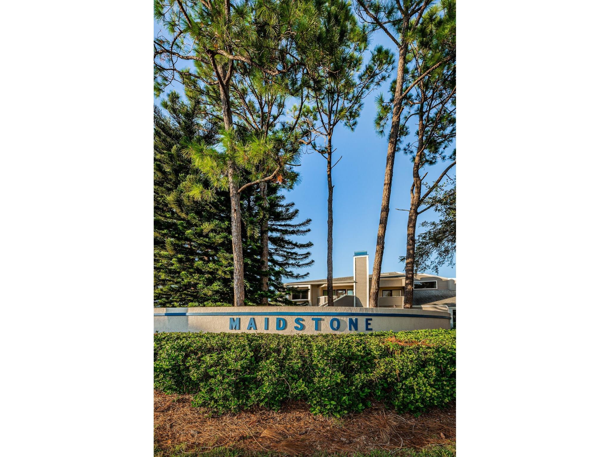 10626 Longwood Drive #102 Seminole FL 33777 TB8521183 image42