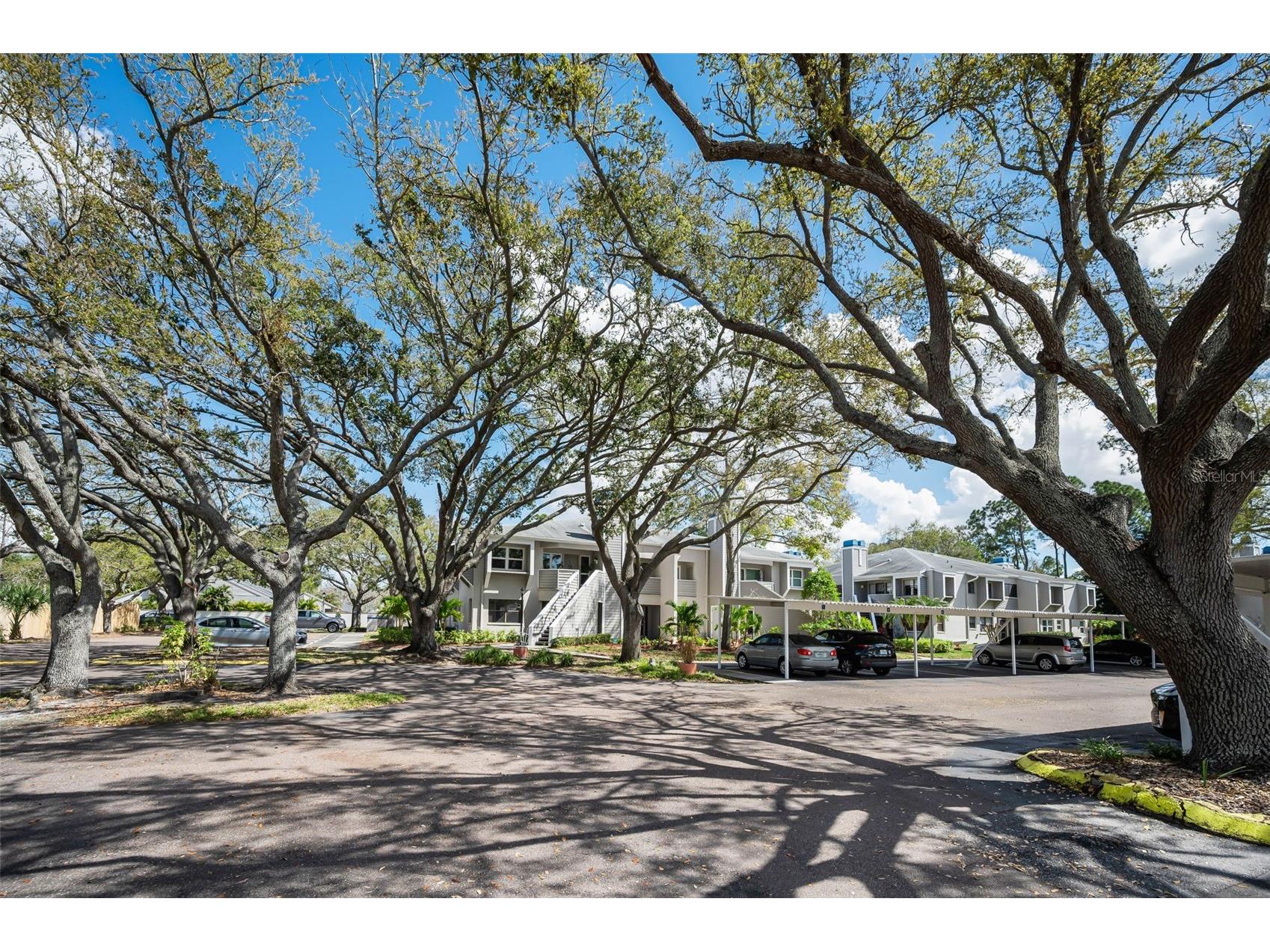 10626 Longwood Drive #102 Seminole FL 33777 TB8521183 image51