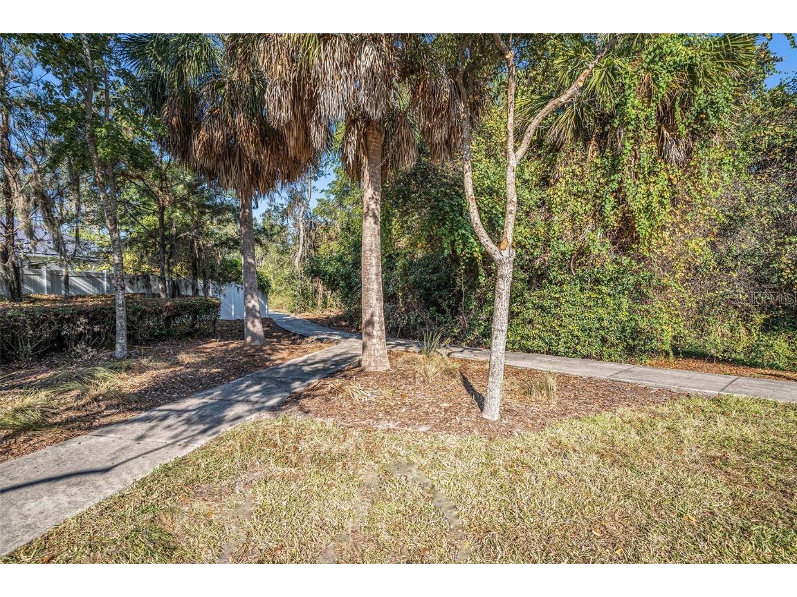 10626 Park Meadowbrooke Drive Riverview FL 33578 TB8451654 image26