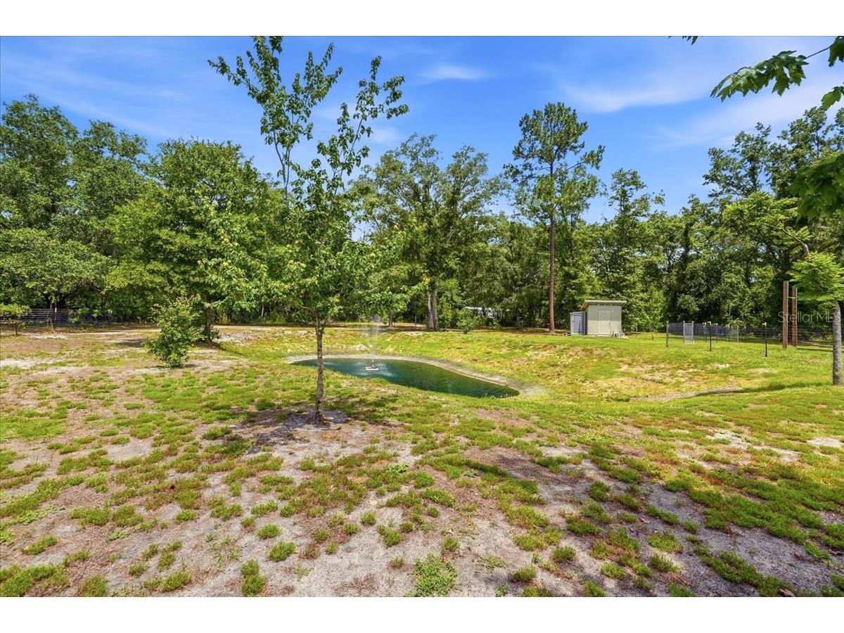 10626 Pathfinder Trail Lakeland FL 33809 P4938748 image53
