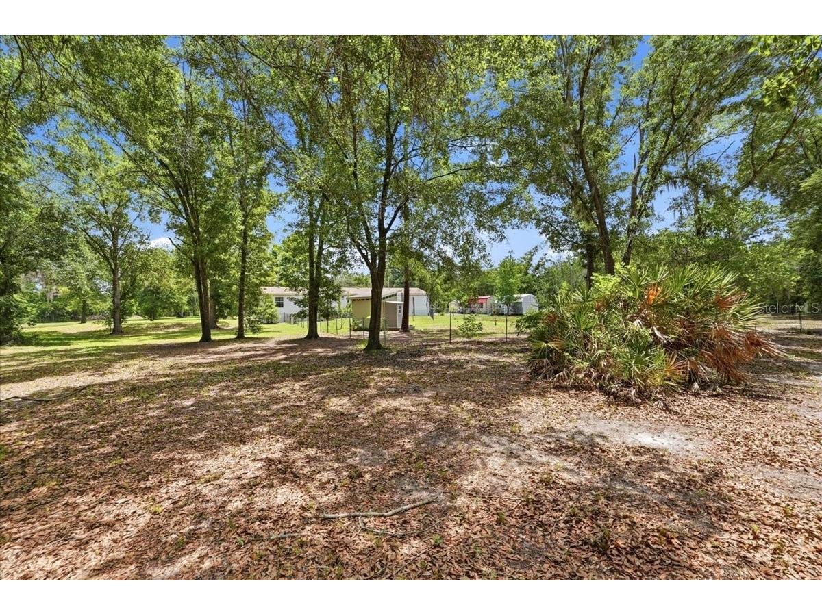 10626 Pathfinder Trail Lakeland FL 33809 P4938748 image55