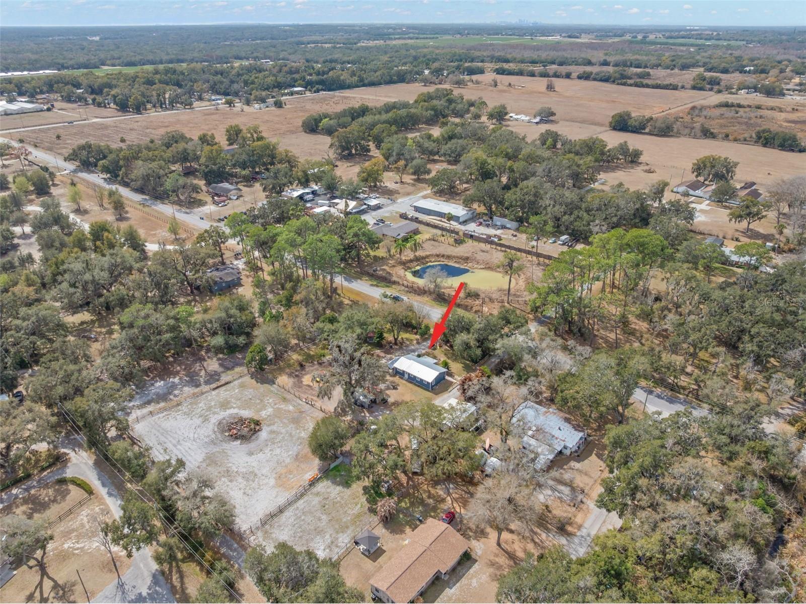 10627 Mcintosh Road Thonotosassa FL 33592 TB8476853 image37