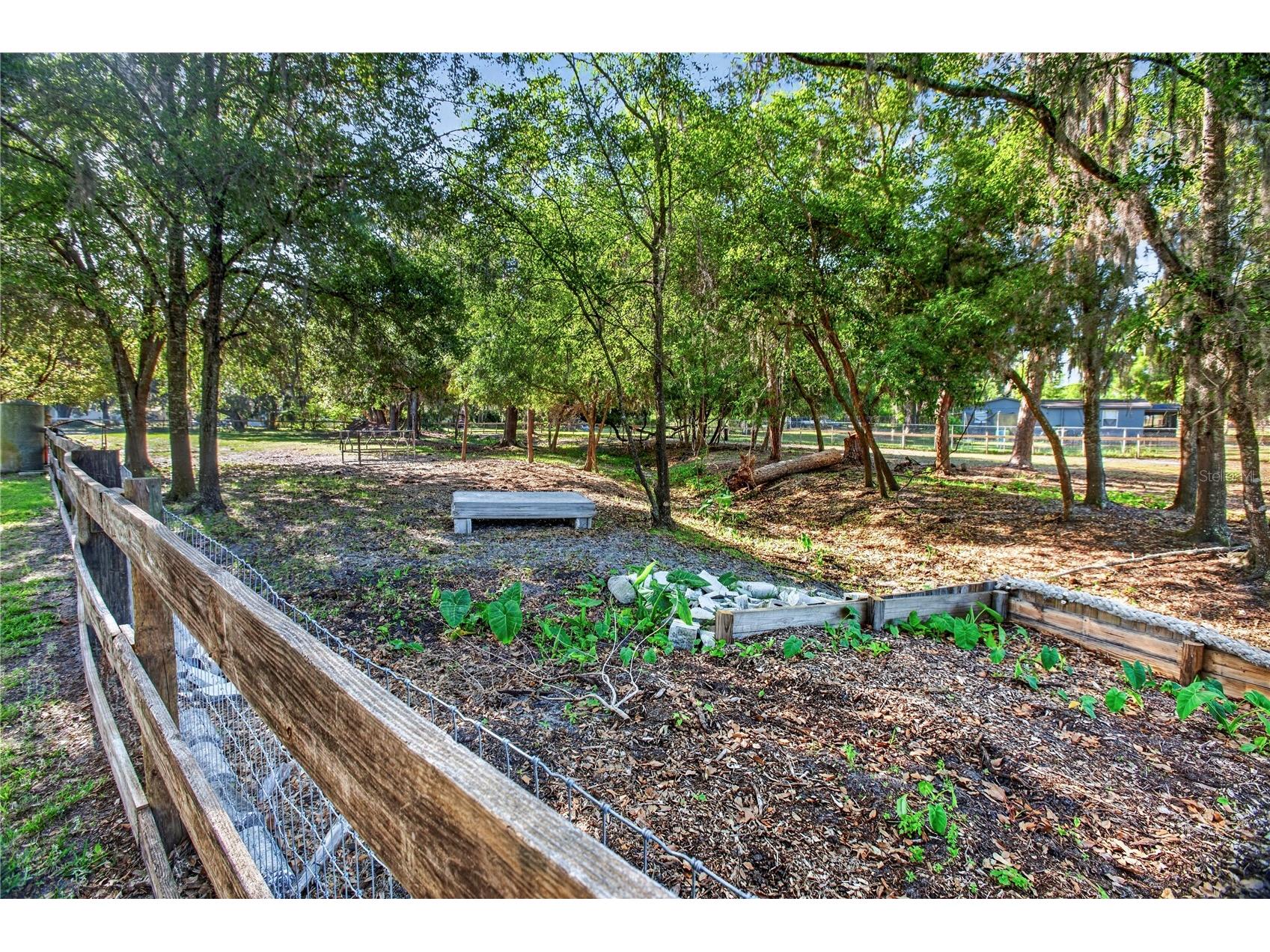 10627 Mcintosh Road Thonotosassa FL 33592 TB8500863 image17