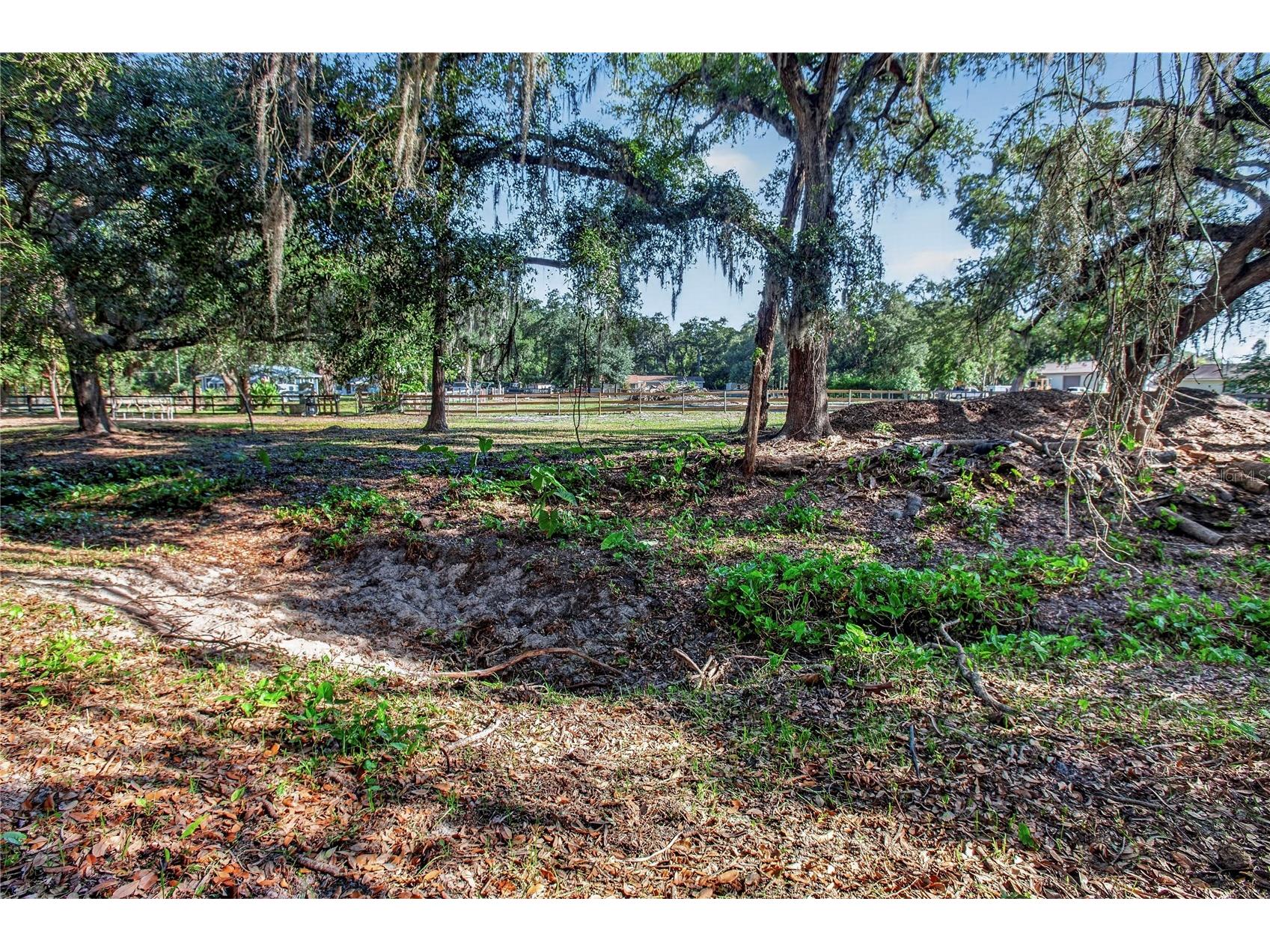10627 Mcintosh Road Thonotosassa FL 33592 TB8500863 image20