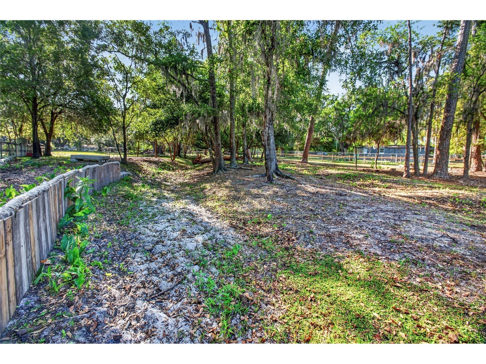 10627 Mcintosh Road Thonotosassa FL 33592 TB8500863 image22