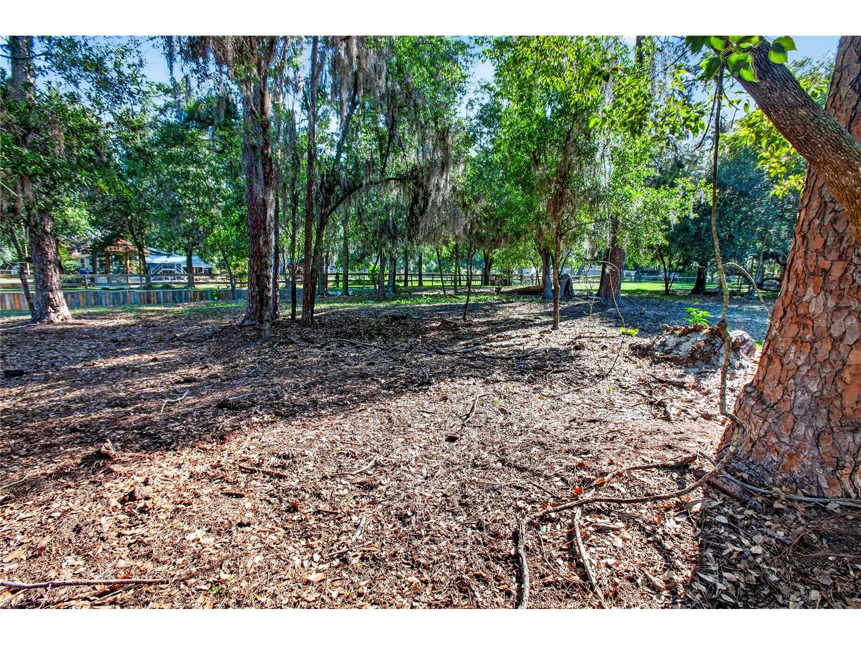 10627 Mcintosh Road Thonotosassa FL 33592 TB8500863 image27