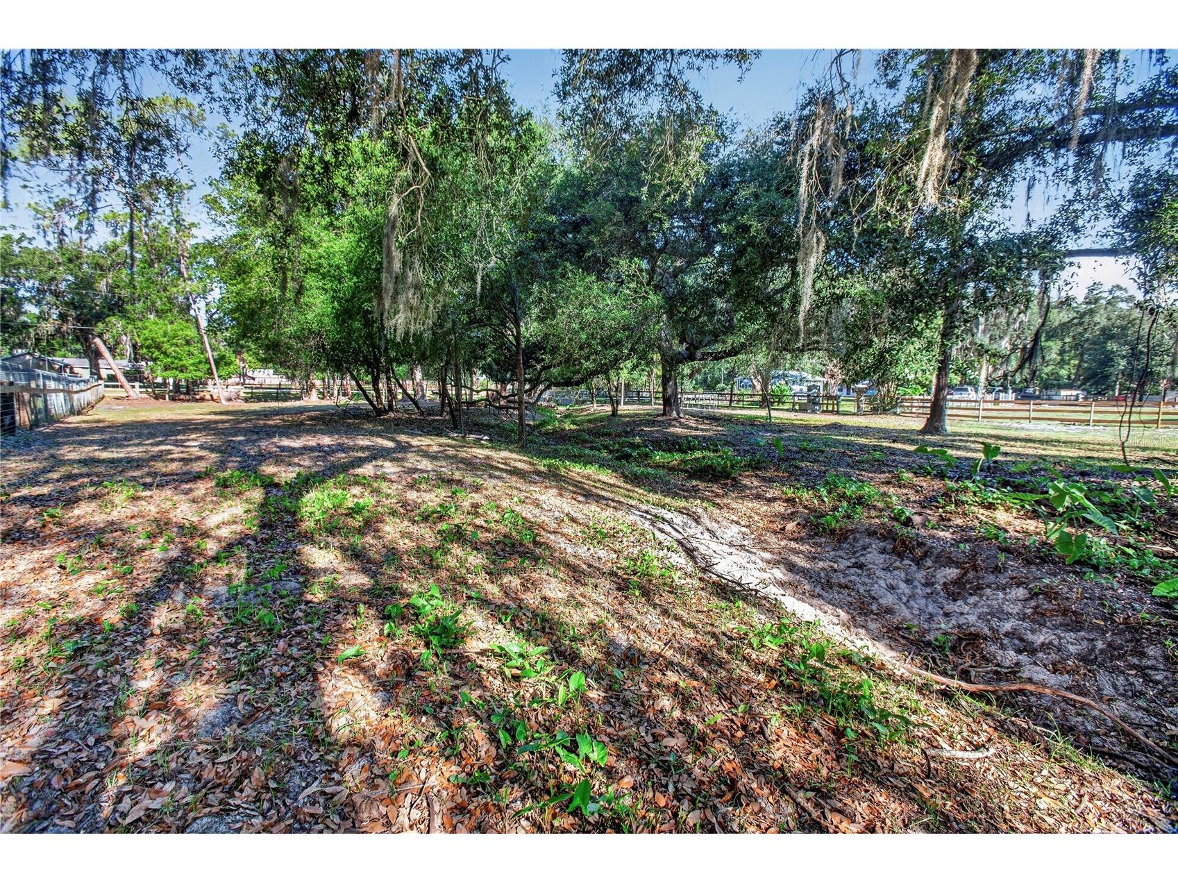 10627 Mcintosh Road Thonotosassa FL 33592 TB8500863 image36