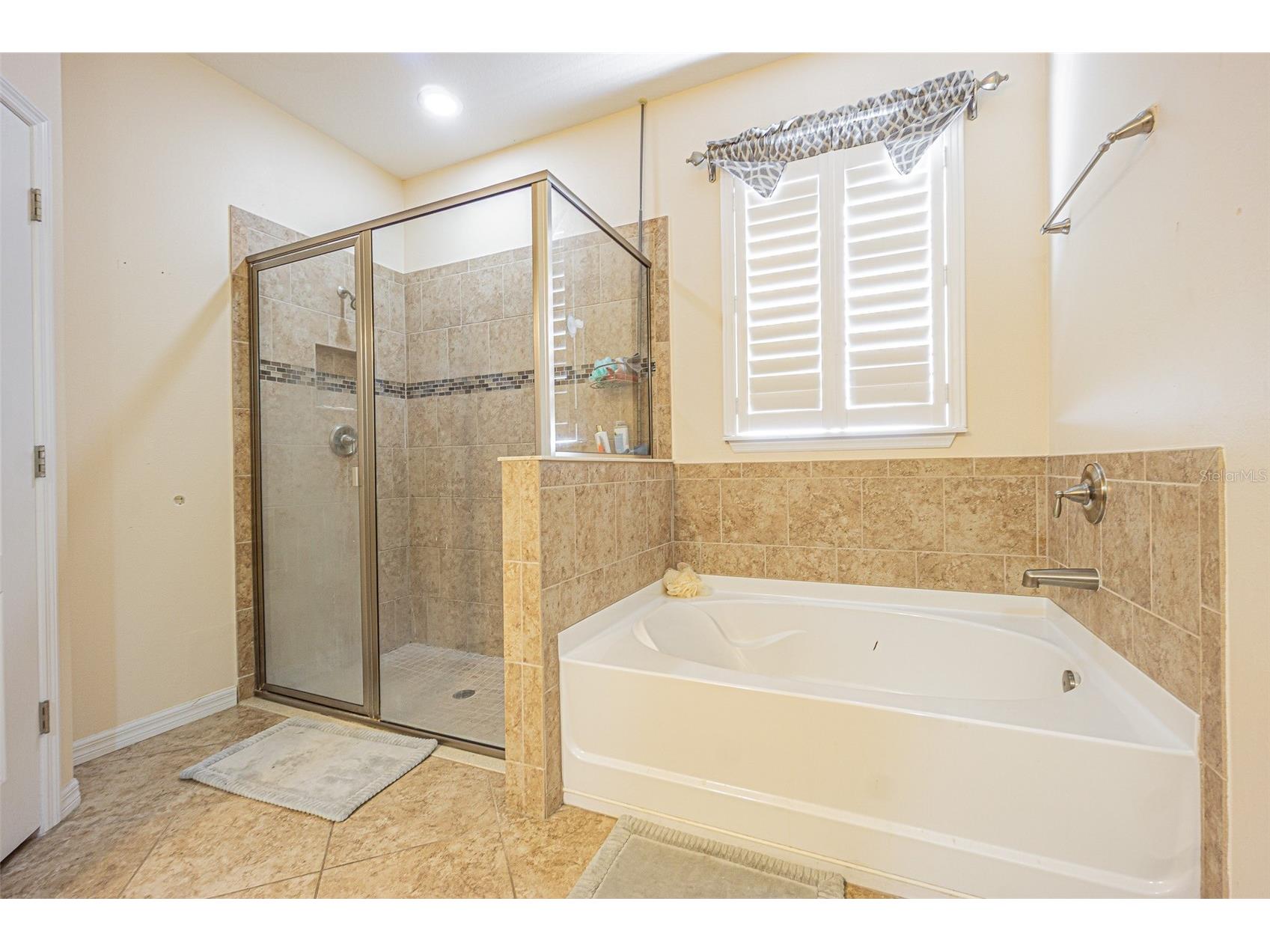 10627 Scenic Hollow Drive Riverview FL 33578 TB8488498 image14