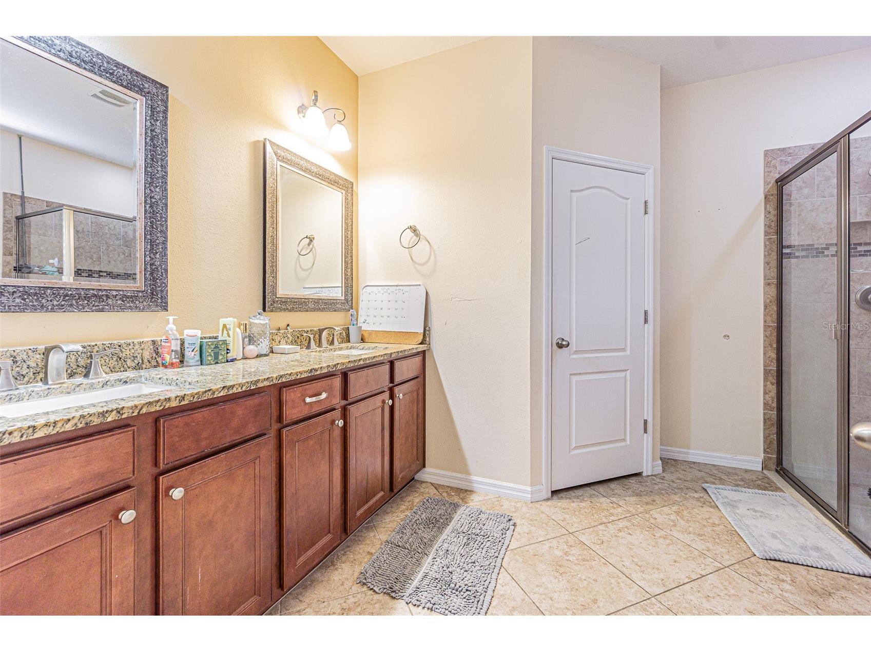 10627 Scenic Hollow Drive Riverview FL 33578 TB8488498 image15