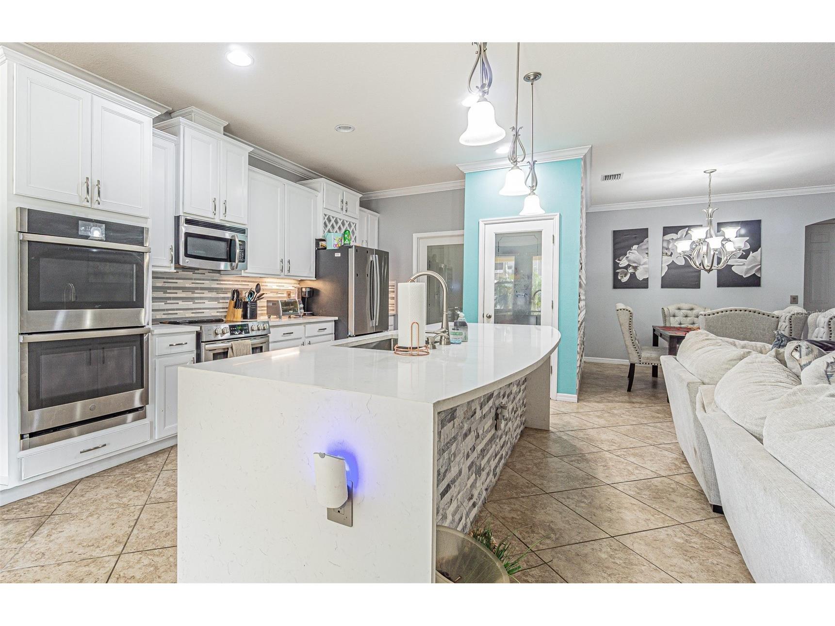 10627 Scenic Hollow Drive Riverview FL 33578 TB8488498 image4