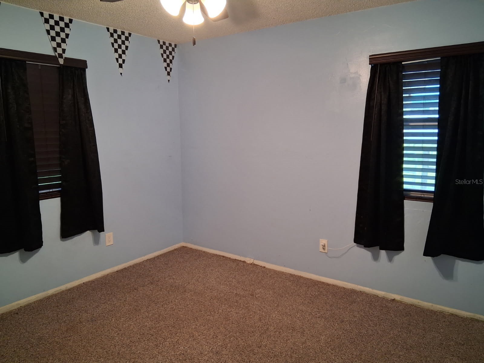10628 Cr 771 Webster FL 33597 G5113233 image11