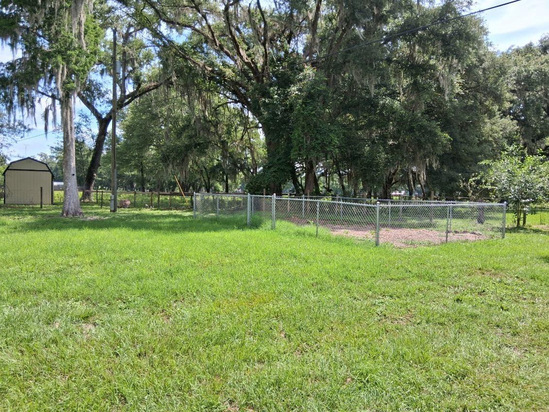 10628 Cr 771 Webster FL 33597 G5113233 image15