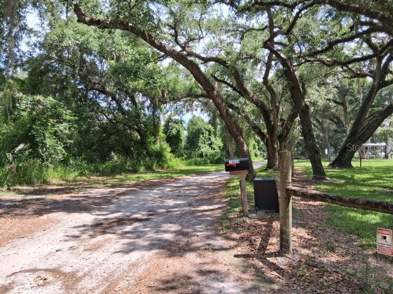 10628 Cr 771 Webster FL 33597 G5113233 image16