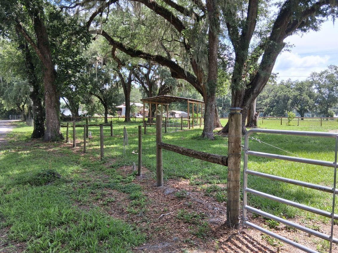 10628 Cr 771 Webster FL 33597 G5113233 image17