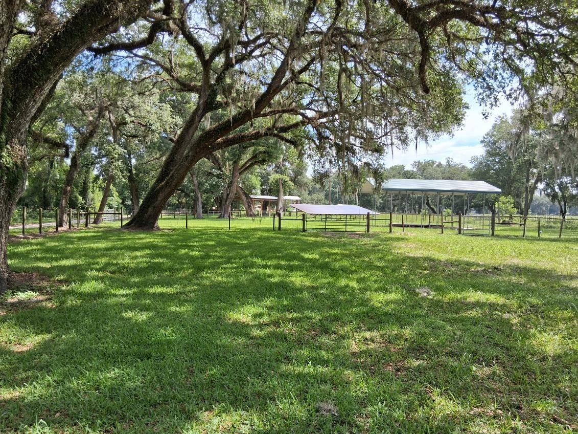 10628 Cr 771 Webster FL 33597 G5113233 image20