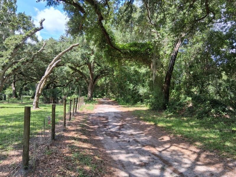 10628 Cr 771 Webster FL 33597 G5113233 image21