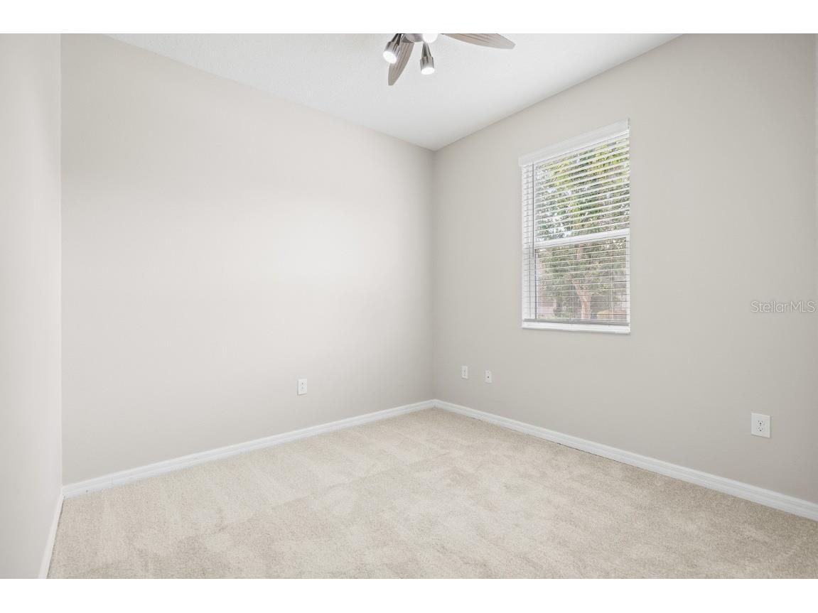 10628 Massimo Drive Wimauma FL 33598 TB8451783 image18