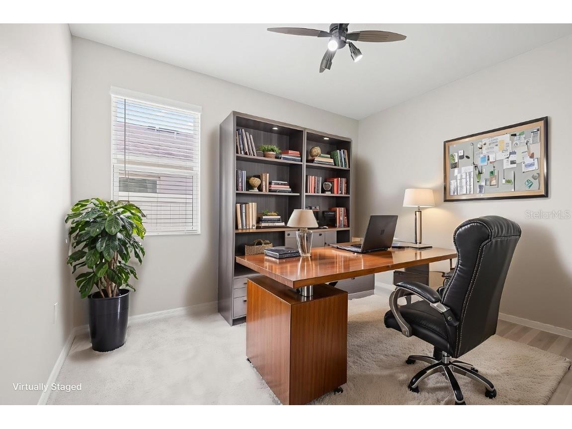 10628 Massimo Drive Wimauma FL 33598 TB8451783 image23