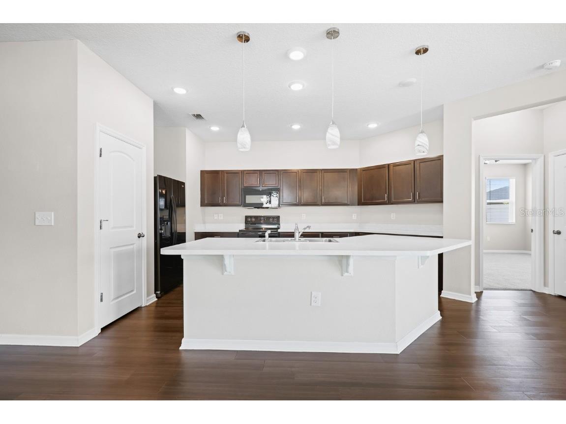 10628 Massimo Drive Wimauma FL 33598 TB8451783 image4