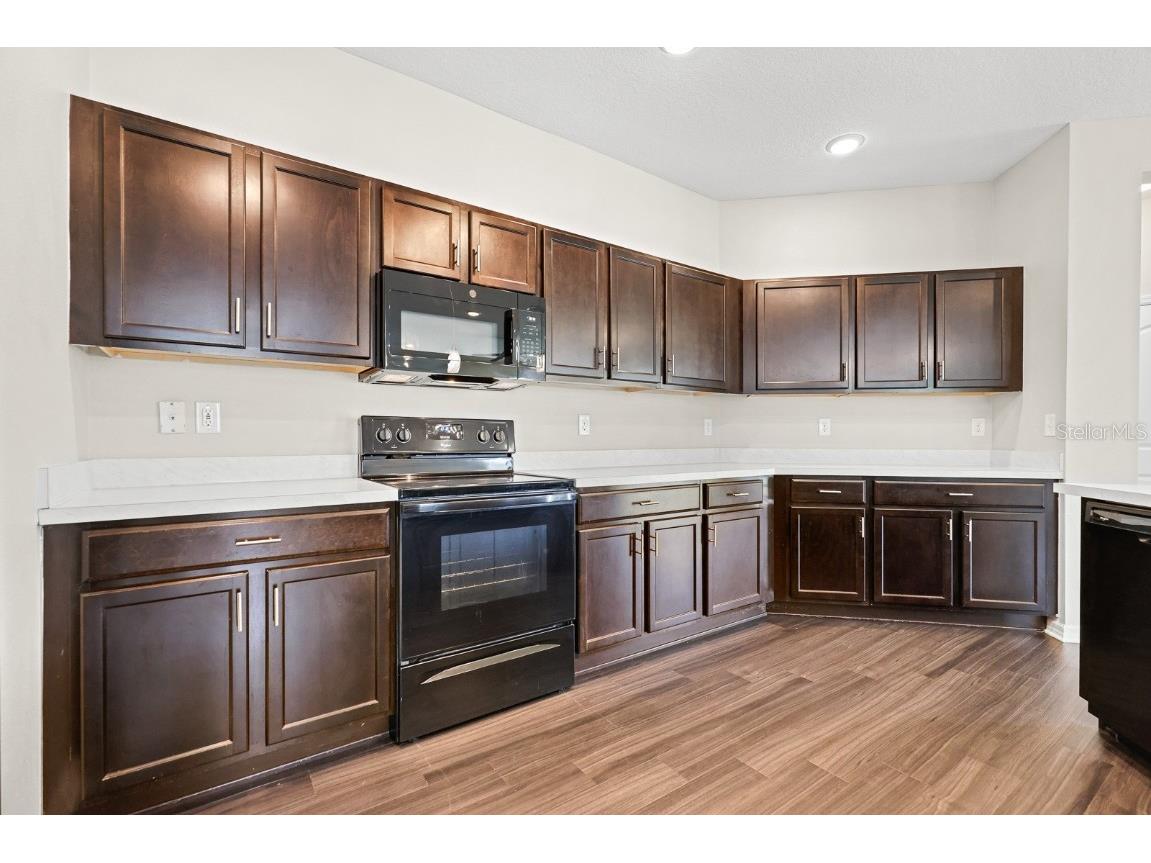 10628 Massimo Drive Wimauma FL 33598 TB8451783 image6