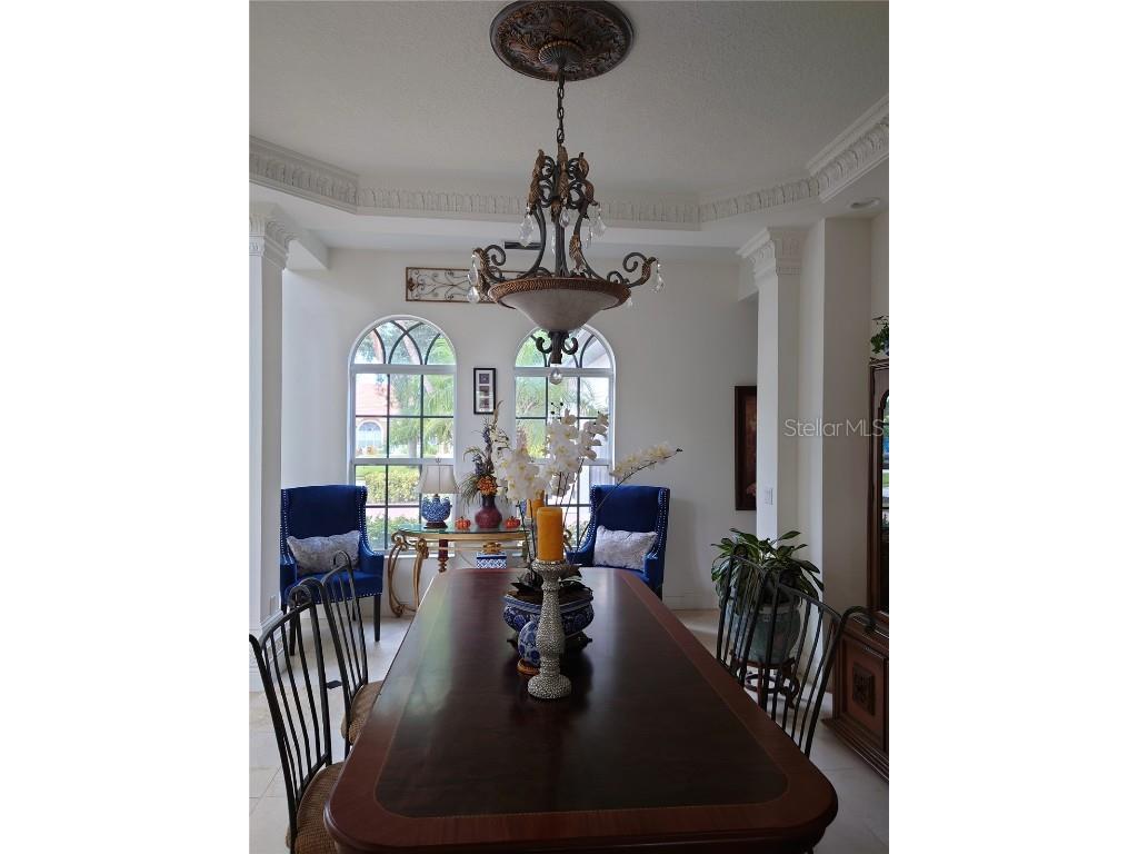 10628 Pontofino Circle Trinity FL 34655 TB8434178 image12