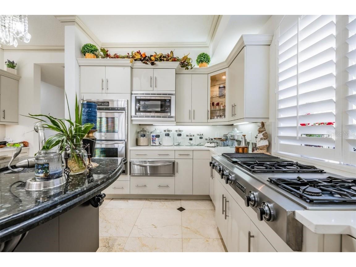 10628 Pontofino Circle Trinity FL 34655 TB8434178 image16