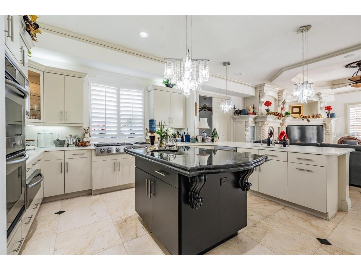 10628 Pontofino Circle Trinity FL 34655 TB8434178 image17